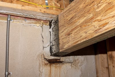 SmartJack-Supplemental-Beam-002