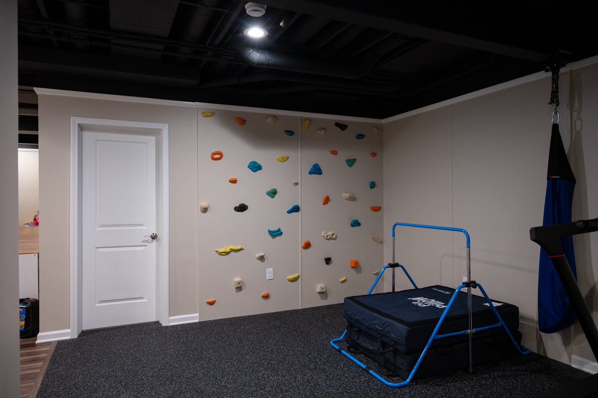 Finished Basement with Rockwall, Gym, Bathroom, Bedroom and Office in Troy, MI