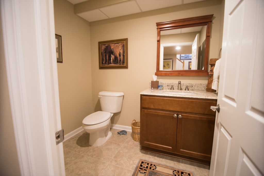 basement bathroom with vinyl plank flooring and spare bathroom