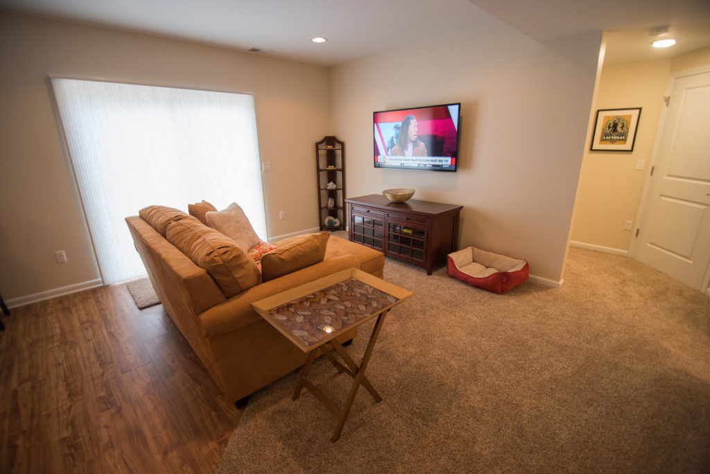 finished walkout basement living room