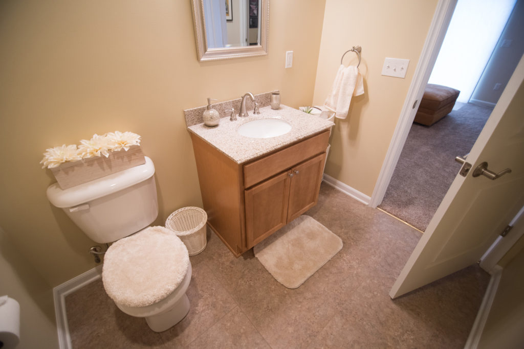 basement bathroom with vinyl tile and vanity