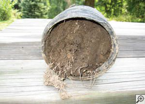 A clogged French drain system
