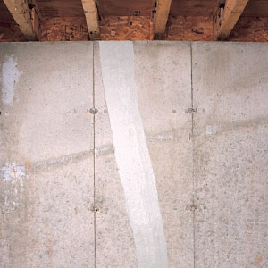 FlexiSpan® Wall Crack Repair