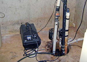 Pedestal Sump Pump System