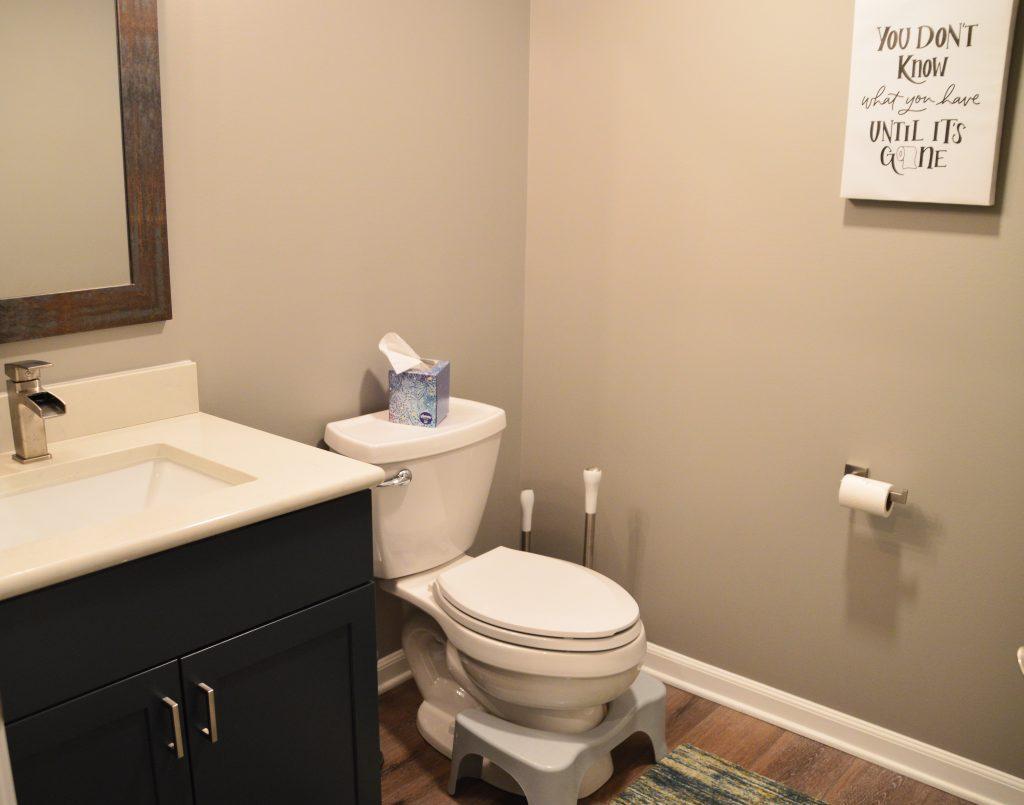 Finished basement vanity in bathroom in Ann Arbor, Michigan