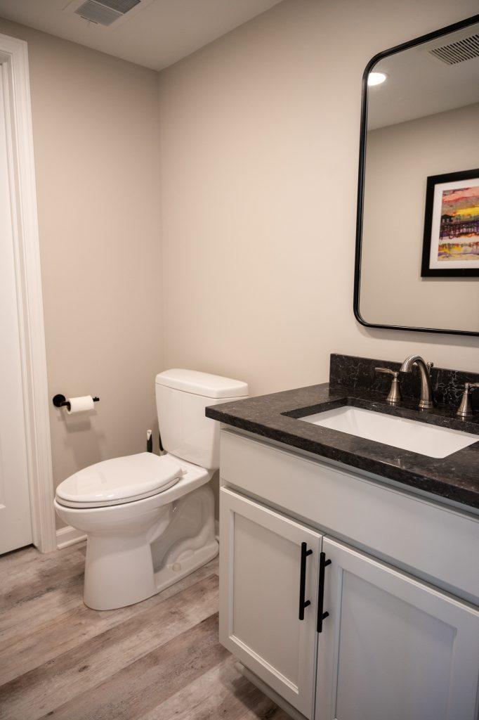 Finished basement bathroom vanity in Northville, Michigan