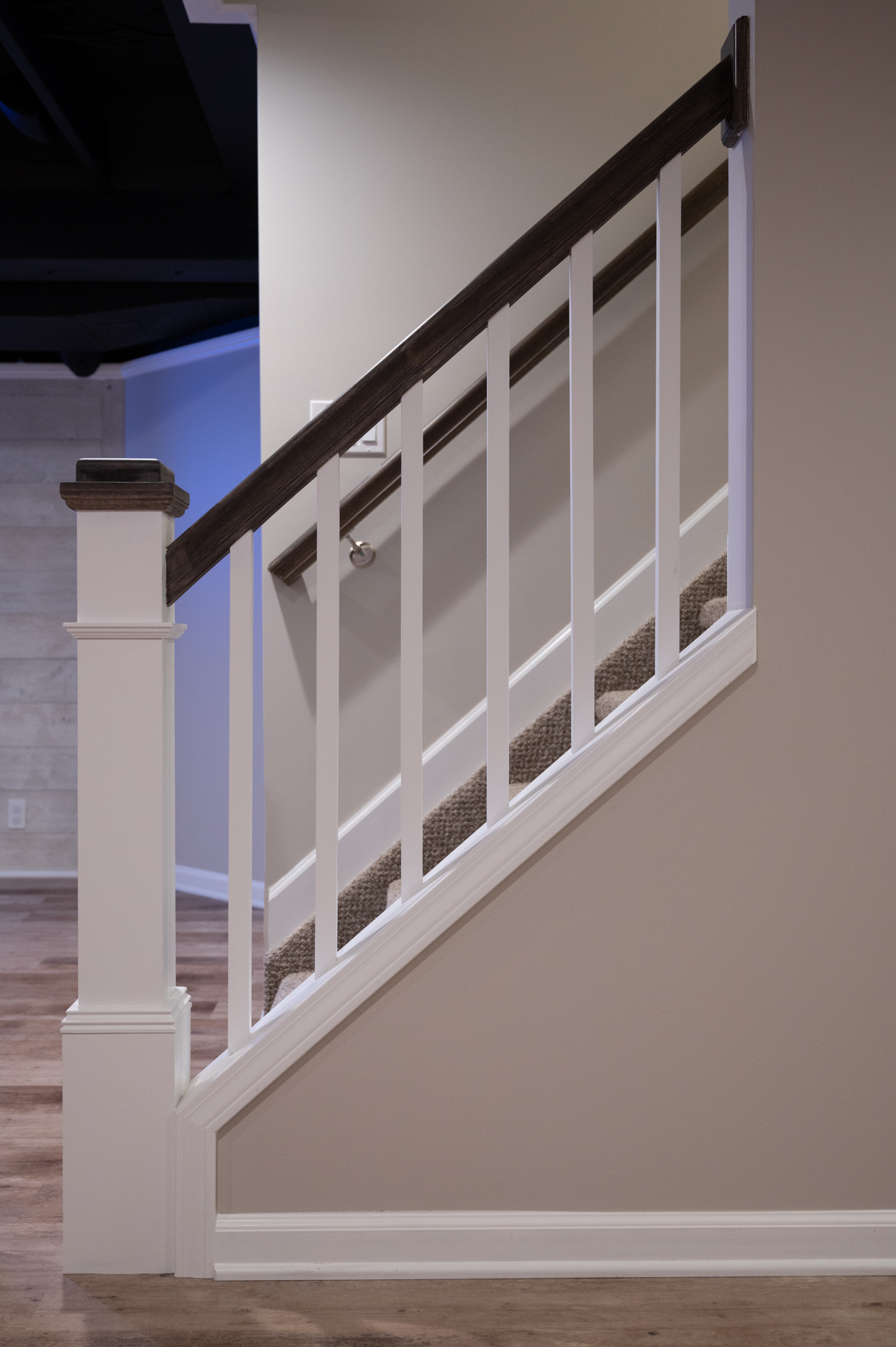 Finished Basement with Wet Bar, Home Gym and Large Entertainment Center