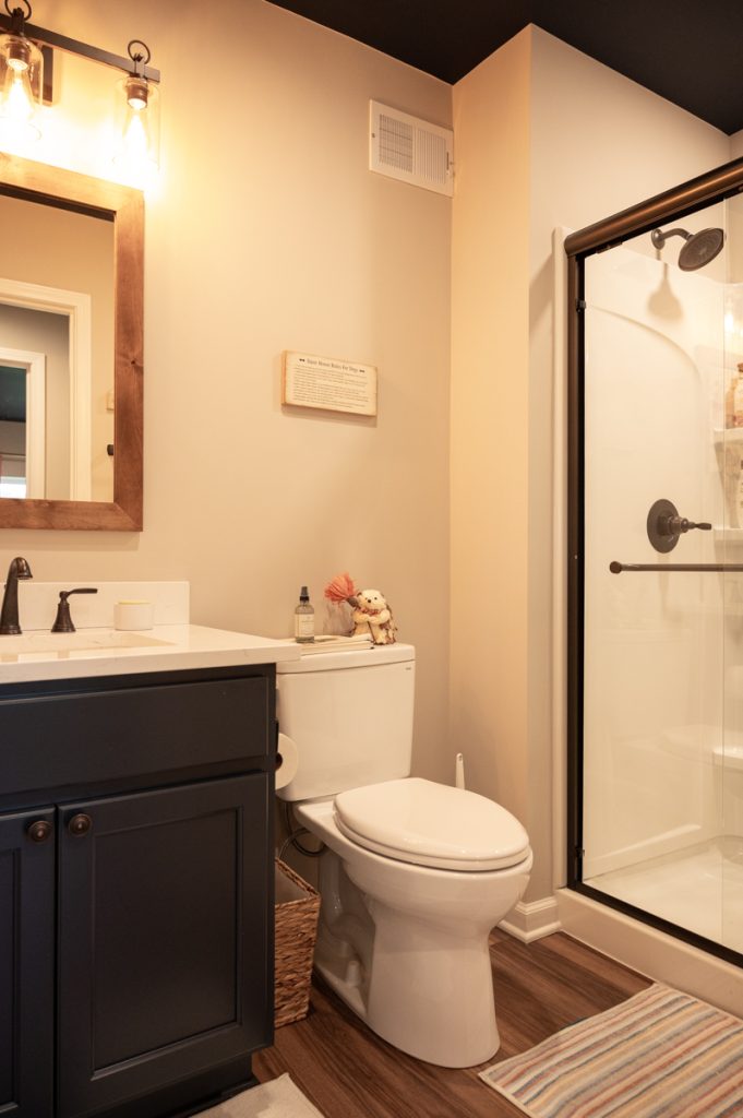 Finished basement bathroom walk-in shower in Pittsfield Twp. Ann Arbor, Michigan
